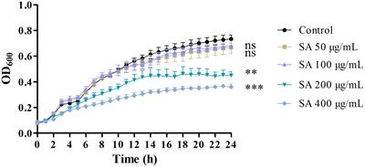 Sennoside A inhibits quorum sensing system to attenuate its regulated virulence and pathogenicity via targeting LasR in Pseudomonas aeruginosa